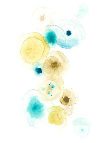Petri I White Modern Wood Framed Art Print with Double Matting by Vess, June Erica