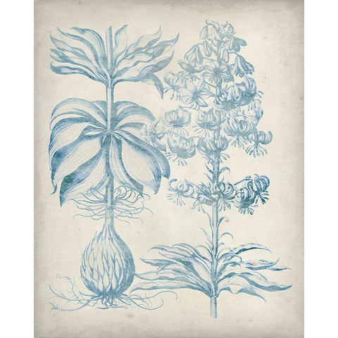 Blue Fresco Floral II Black Modern Wood Framed Art Print by Vision Studio