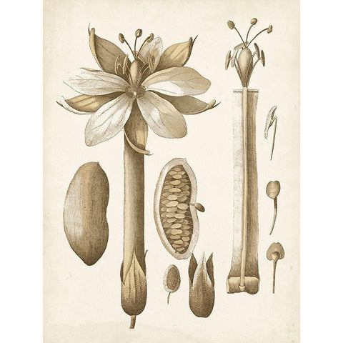 Ochre Botanical I White Modern Wood Framed Art Print by Vision Studio