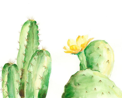 Spiny Desert Plants II White Modern Wood Framed Art Print with Double Matting by Moore, Regina