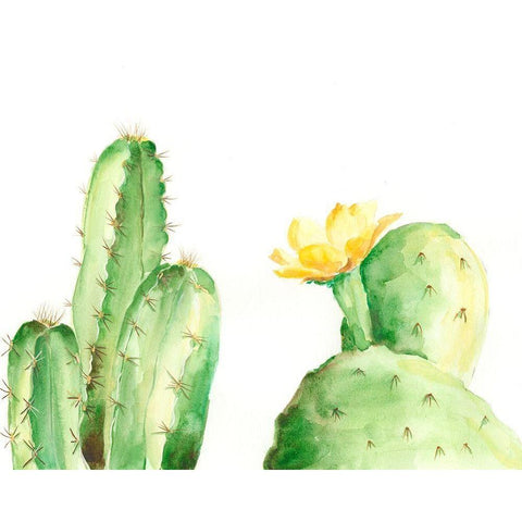 Spiny Desert Plants II Black Modern Wood Framed Art Print with Double Matting by Moore, Regina