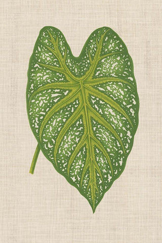 Leaves on Linen I Black Ornate Wood Framed Art Print with Double Matting by Unknown