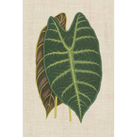 Leaves on Linen III White Modern Wood Framed Art Print by Unknown