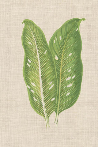 Leaves on Linen V White Modern Wood Framed Art Print with Double Matting by Unknown