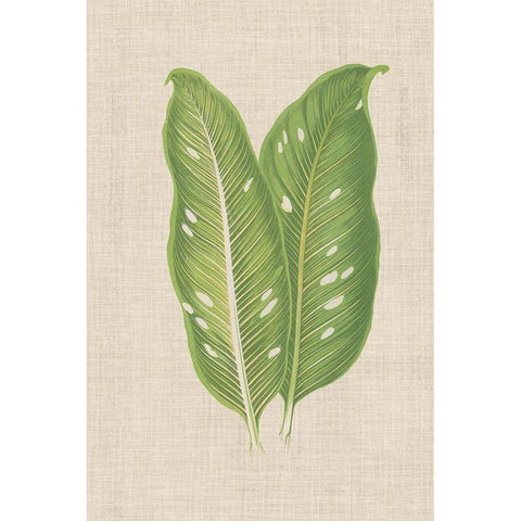 Leaves on Linen V Gold Ornate Wood Framed Art Print with Double Matting by Unknown