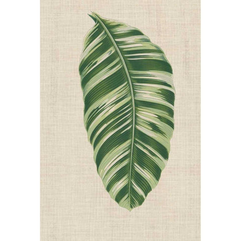 Leaves on Linen VI White Modern Wood Framed Art Print by Unknown