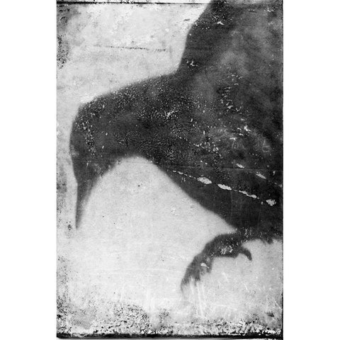 B and W Flight I Black Modern Wood Framed Art Print by Blixt, Ingrid