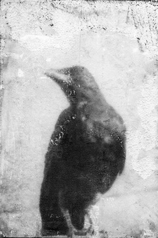 B and W Flight III Black Ornate Wood Framed Art Print with Double Matting by Blixt, Ingrid