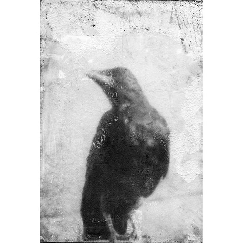 B and W Flight III White Modern Wood Framed Art Print by Blixt, Ingrid