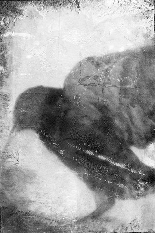 B and W Flight V White Modern Wood Framed Art Print with Double Matting by Blixt, Ingrid