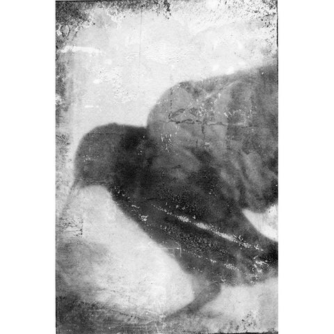 B and W Flight V Gold Ornate Wood Framed Art Print with Double Matting by Blixt, Ingrid