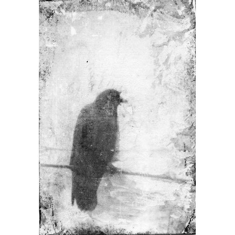 B and W Flight VI Black Modern Wood Framed Art Print by Blixt, Ingrid