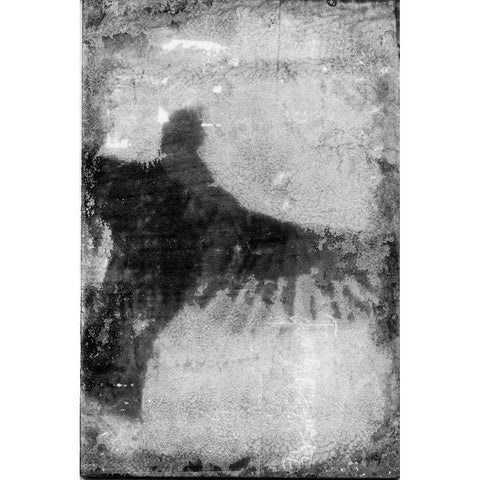 B and W Flight VIII Gold Ornate Wood Framed Art Print with Double Matting by Blixt, Ingrid