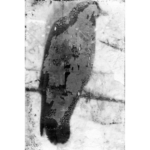 B and W Flight IX Black Modern Wood Framed Art Print with Double Matting by Blixt, Ingrid