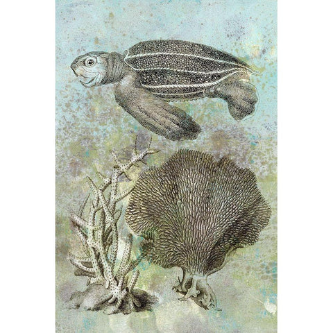 Underwater Sea Turtle II Gold Ornate Wood Framed Art Print with Double Matting by Vision Studio