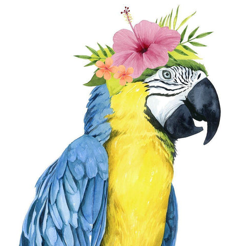 Tropical Halo II Black Modern Wood Framed Art Print by Popp, Grace