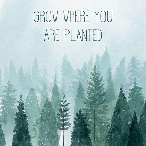 Little Grower II Black Modern Wood Framed Art Print with Double Matting by Popp, Grace