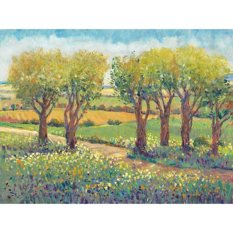 Garden Path I Gold Ornate Wood Framed Art Print with Double Matting by OToole, Tim