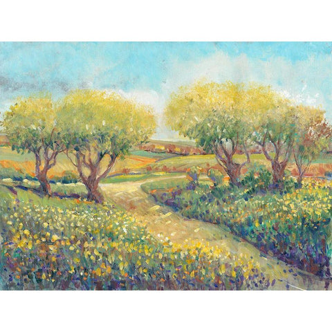 Garden Path II White Modern Wood Framed Art Print by OToole, Tim