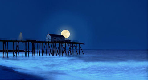 Dusk and Water I Black Ornate Wood Framed Art Print with Double Matting by McLoughlin, James