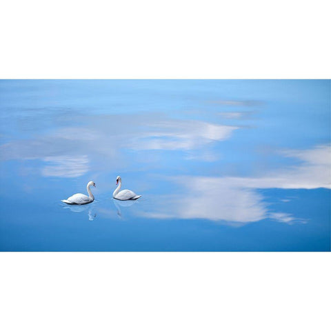 Dusk and Water VI Black Modern Wood Framed Art Print with Double Matting by McLoughlin, James