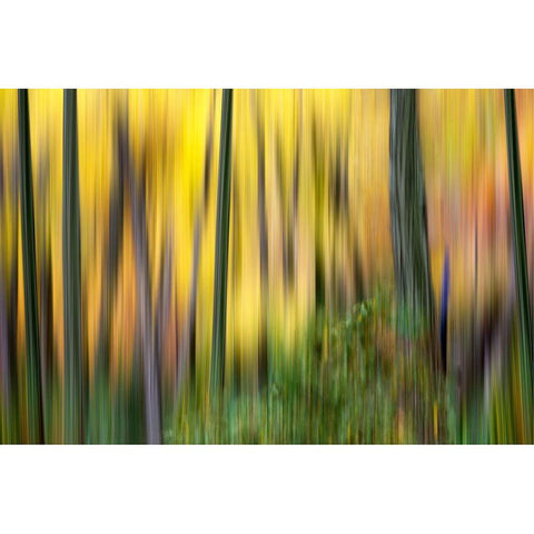 Forest Run II Gold Ornate Wood Framed Art Print with Double Matting by McLoughlin, James