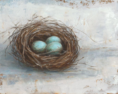 Rustic Bird Nest I White Modern Wood Framed Art Print with Double Matting by Harper, Ethan