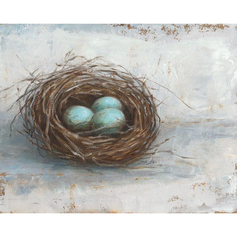 Rustic Bird Nest I Black Modern Wood Framed Art Print with Double Matting by Harper, Ethan