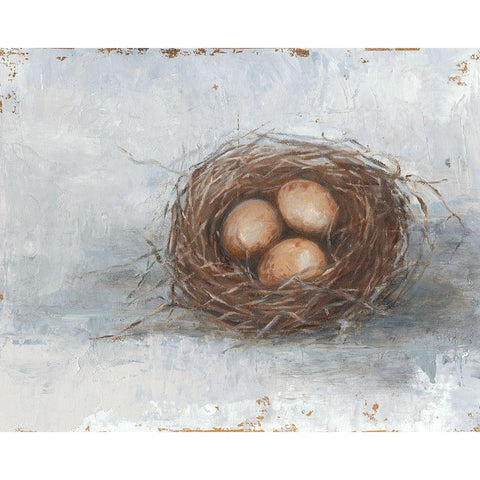 Rustic Bird Nest II Gold Ornate Wood Framed Art Print with Double Matting by Harper, Ethan