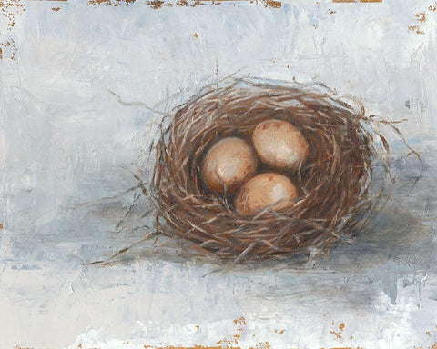 Rustic Bird Nest II Black Ornate Wood Framed Art Print with Double Matting by Harper, Ethan