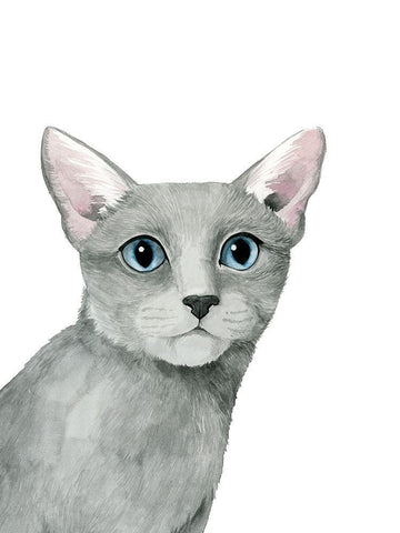 Cat Portrait I White Modern Wood Framed Art Print with Double Matting by Popp, Grace