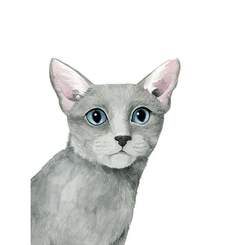 Cat Portrait I White Modern Wood Framed Art Print by Popp, Grace