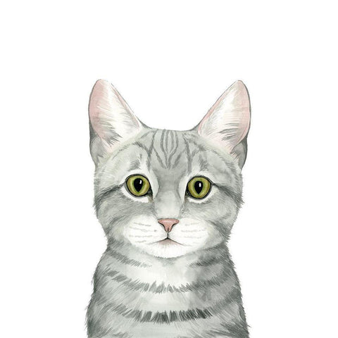 Cat Portrait III Black Modern Wood Framed Art Print by Popp, Grace