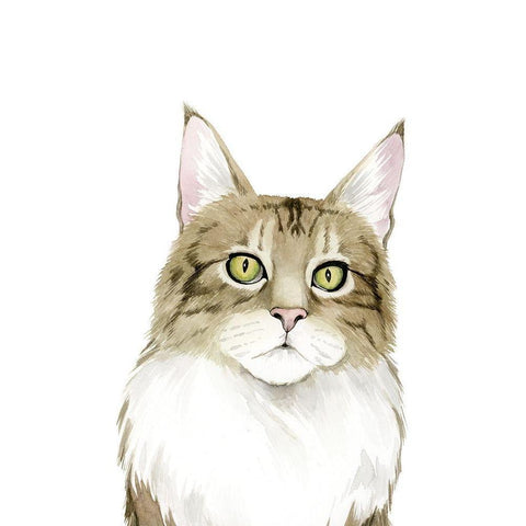 Cat Portrait IV White Modern Wood Framed Art Print by Popp, Grace