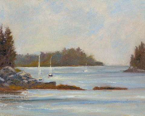 Safe Cove Black Ornate Wood Framed Art Print with Double Matting by Wendling, Marilyn