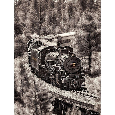 Train Arrival III Black Modern Wood Framed Art Print with Double Matting by Drost, David