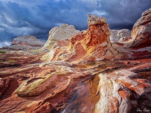 Valley Beauty II Black Ornate Wood Framed Art Print with Double Matting by Drost, David