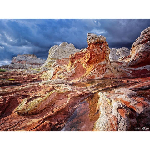 Valley Beauty II Black Modern Wood Framed Art Print by Drost, David