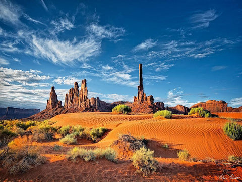 Valley Beauty V Black Ornate Wood Framed Art Print with Double Matting by Drost, David