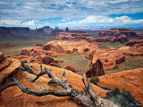 Valley Beauty VII Black Ornate Wood Framed Art Print with Double Matting by Drost, David