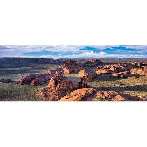 Valley Beauty VIII Gold Ornate Wood Framed Art Print with Double Matting by Drost, David