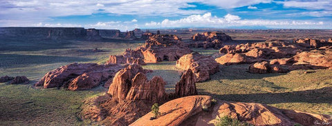 Valley Beauty VIII Black Ornate Wood Framed Art Print with Double Matting by Drost, David