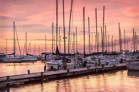 Set to Sail Black Ornate Wood Framed Art Print with Double Matting by Head, Danny