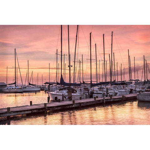 Set to Sail Gold Ornate Wood Framed Art Print with Double Matting by Head, Danny