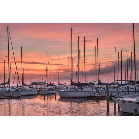 Dawning Day Black Modern Wood Framed Art Print with Double Matting by Head, Danny