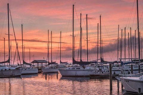 Dawning Day Black Ornate Wood Framed Art Print with Double Matting by Head, Danny