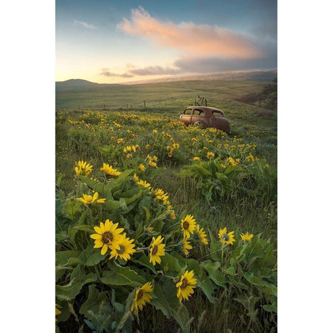 Forgotten Gold Ornate Wood Framed Art Print with Double Matting by Head, Danny