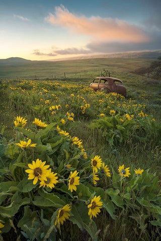 Forgotten White Modern Wood Framed Art Print with Double Matting by Head, Danny