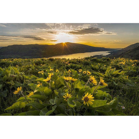 Wake Up Call Black Modern Wood Framed Art Print by Head, Danny