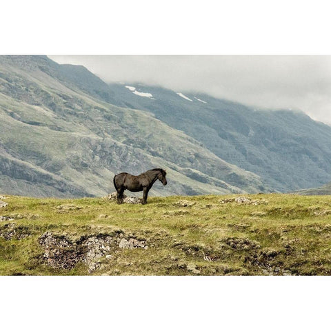 Standing Alone Black Modern Wood Framed Art Print by Head, Danny